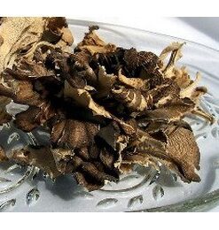 Dried Maitake Mushrooms USA