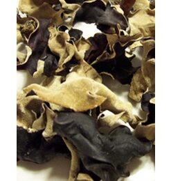 Dried Woodear Mushrooms